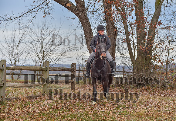AndrewsBrHuntPace(11-10-24)0234