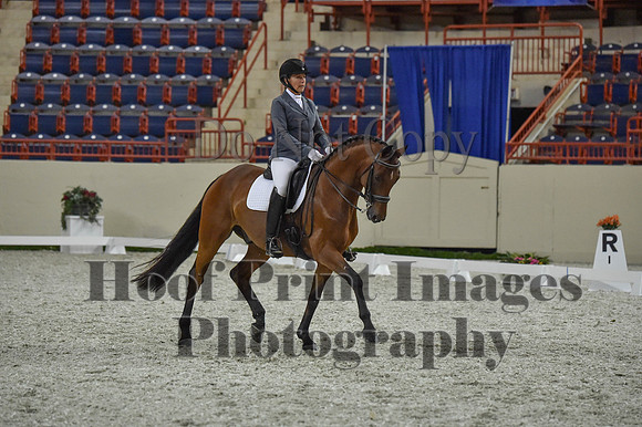 CWdressageI(8-20-16)1159