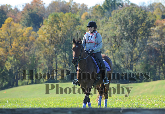 Cheshire(10-19-14)0297