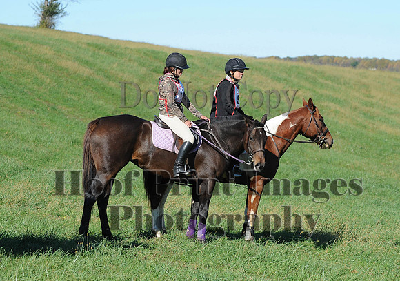 Cheshire(10-19-14)0448
