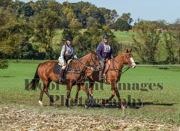 CheshirePC(10-18-20)0436