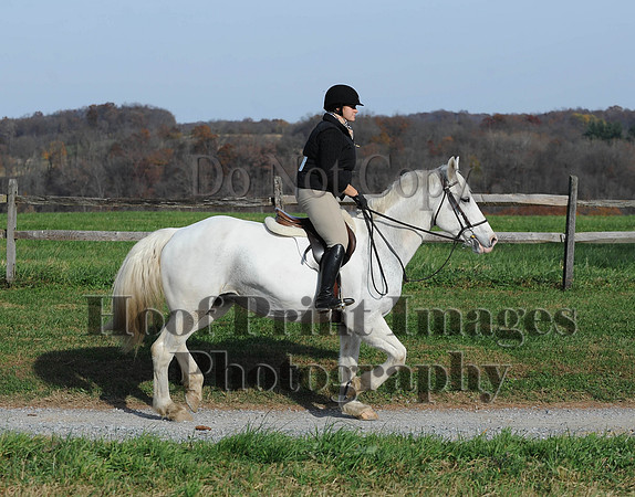 AndrewsBr(11-9-14)0634