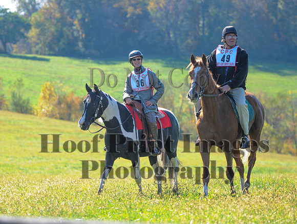Cheshire(10-20-13)0574