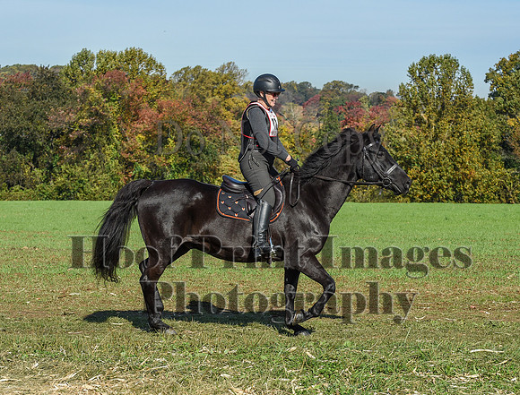 CheshirePC(10-18-20)0194