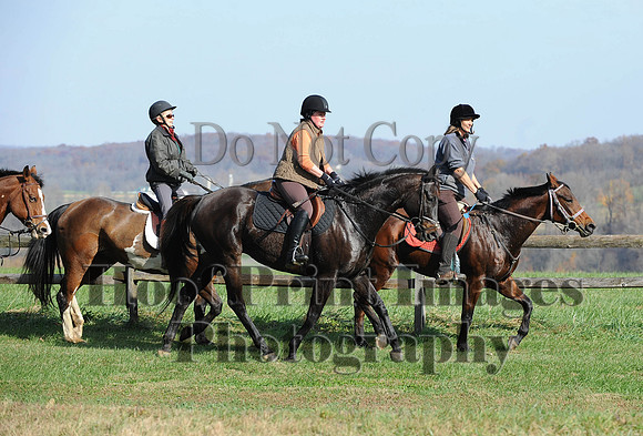 AndrewsBr(11-9-14)0185