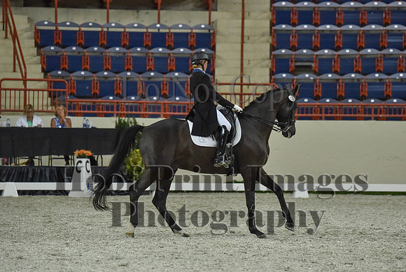 CWdressageI(8-20-16)1474