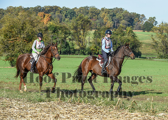 CheshirePC(10-18-20)0083