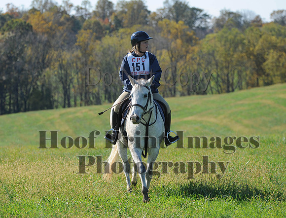 Cheshire(10-20-13)0453