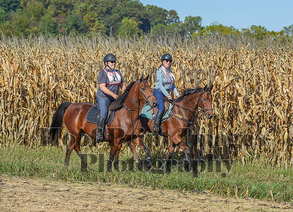 CheshirePonyClubPC(10-6-24)0113