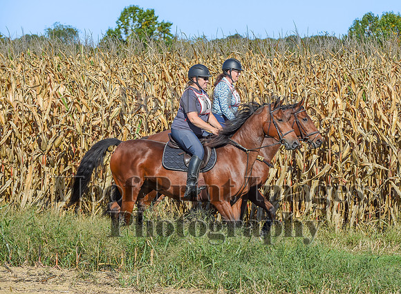 CheshirePonyClubPC(10-6-24)0116
