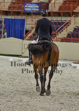 CWdressageI(8-20-16)1355
