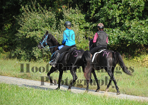 ChesapeakeCTR(9-20-14)0237