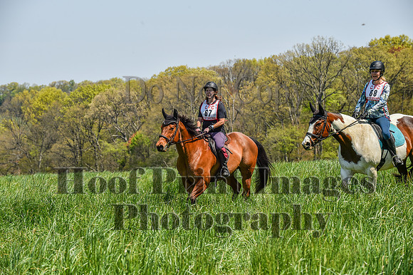 CheshireSpringPC1(4-28-24)0503