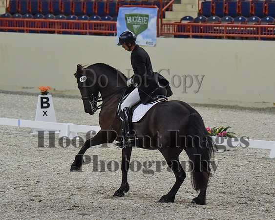 CWdressageII(8-21-16)1809