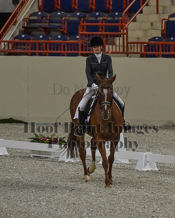 CWdressageII(8-21-16)0108