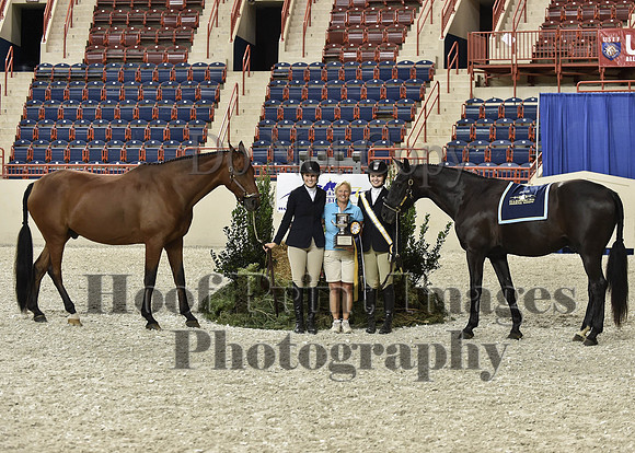 HarrisburgHS(8-23-15)1310