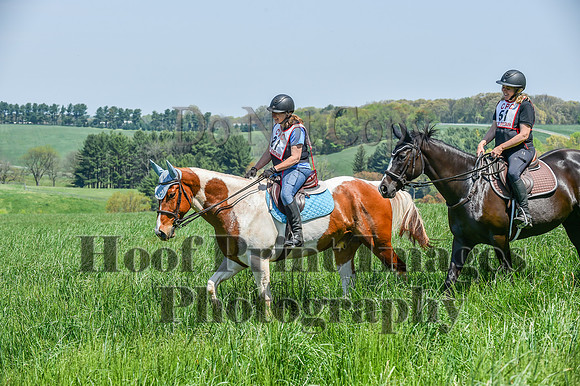 CheshireSpringPC1(4-28-24)0399