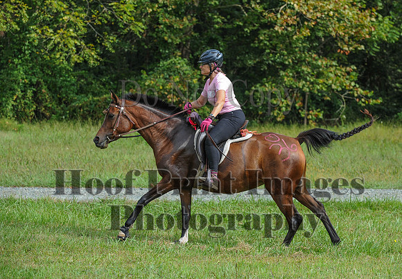 ChesapeakeCTR(9-20-14)0499