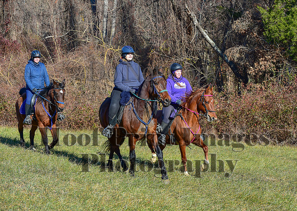 FairHillFallPC(11-30-24)0275