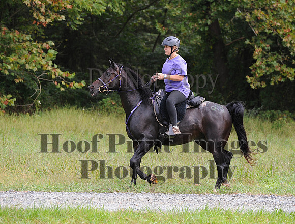 ChesapeakeCTR(9-20-14)0271