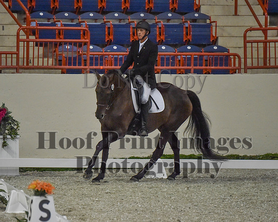 CWdressageII(8-21-16)0368