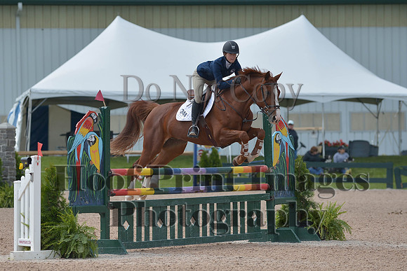 BRSa(5-17-14)HChAdJ0209