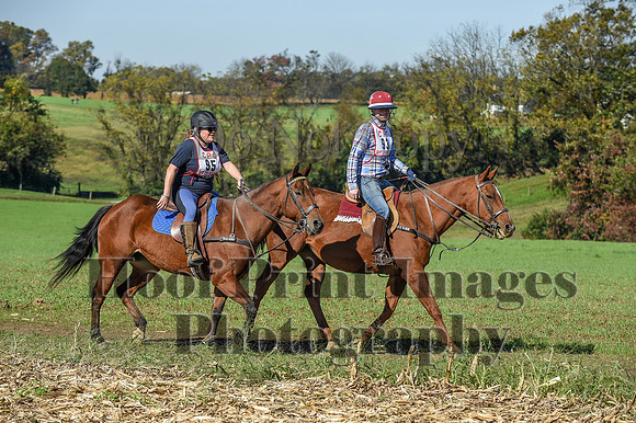 CheshirePC(10-18-20)0431