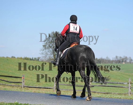 Cheshire(10-20-13)0375