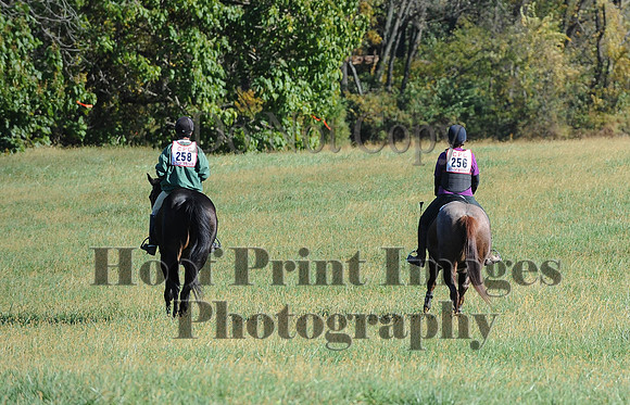 Cheshire(10-19-14)0067