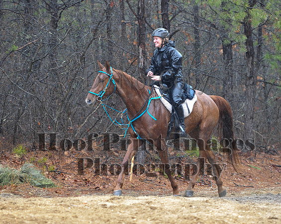 Rabbit(3-29-14)0395