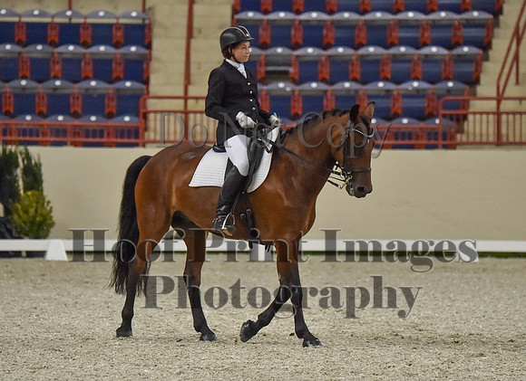 CWdressageI(8-20-16)0836