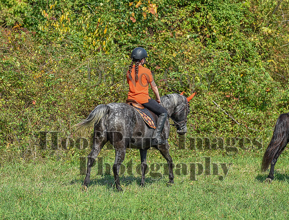 Born2Ride(10-13-24)0329