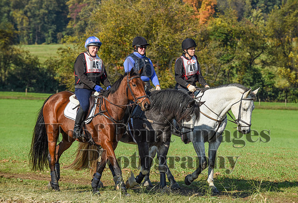 CheshirePC(10-18-20)0128