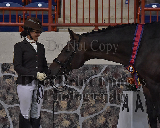 CWdressageII(8-21-16)1426