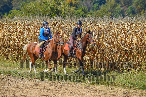 CheshirePonyClubPC(10-6-24)0559