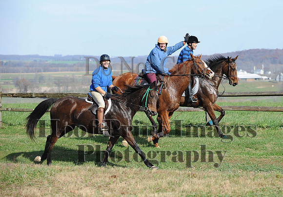 AndrewsBr(11-9-14)0227