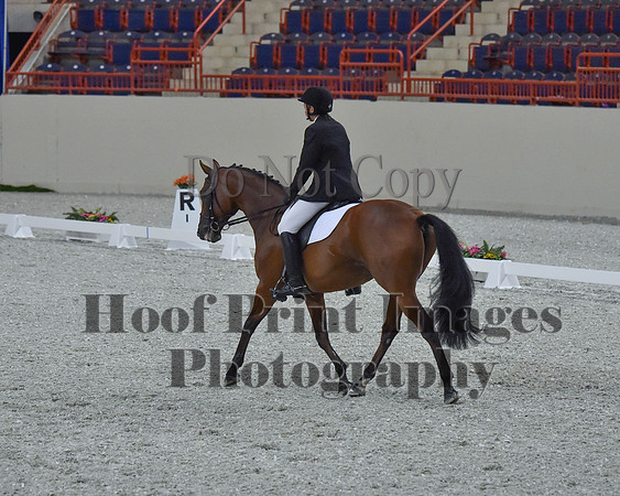 CWdressageII(8-21-16)1026