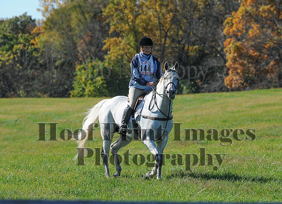 Cheshire(10-19-14)0302
