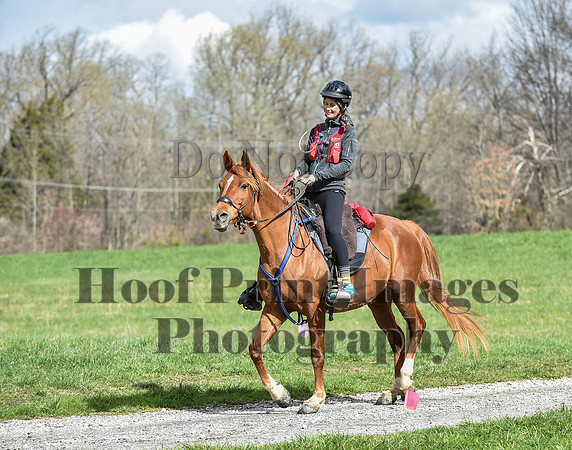 ChesapeakeSpring(4-10-22)0558