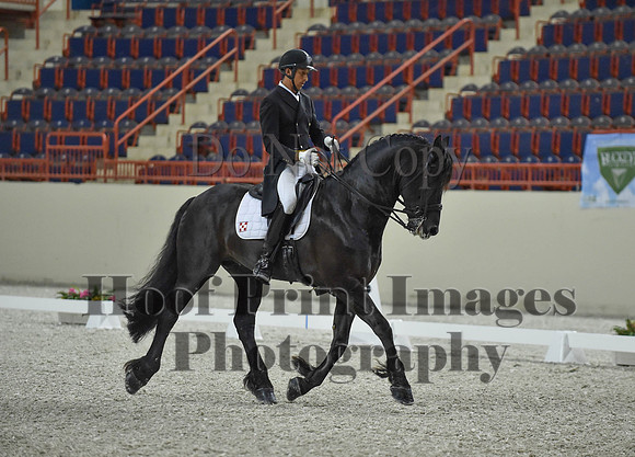 CWdressageI(8-20-16)1675