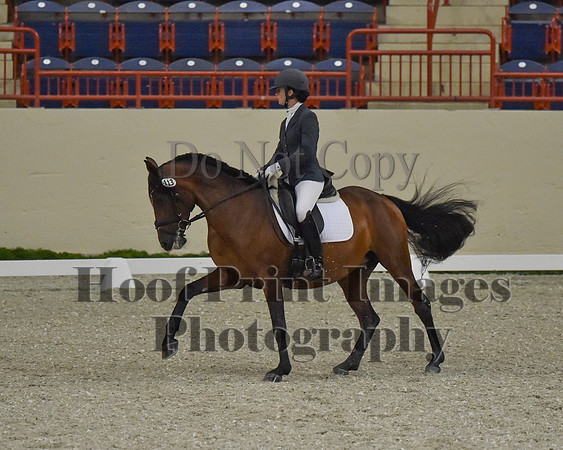CWdressageII(8-21-16)1130