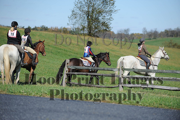 Cheshire(10-19-14)0181