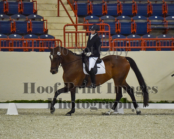 CWdressageII(8-21-16)0426