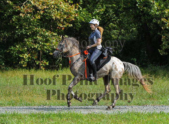 ChesapeakeCTR(9-20-14)0429