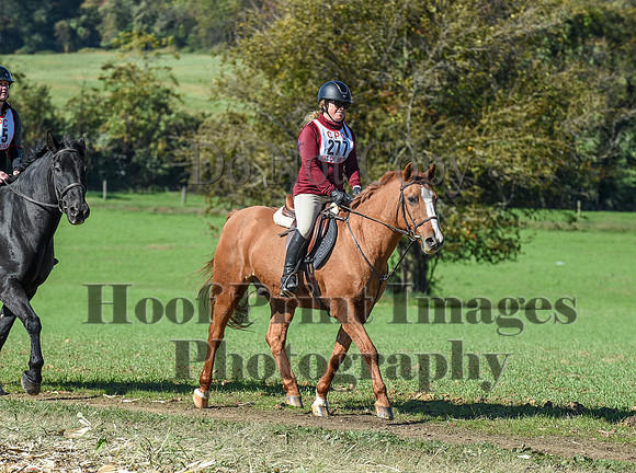 CheshirePC(10-18-20)0603