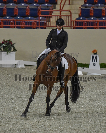 CWdressageII(8-21-16)0152