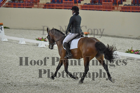 CWdressageI(8-20-16)0123