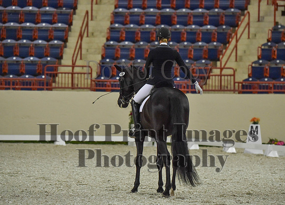 CWdressageI(8-20-16)0965