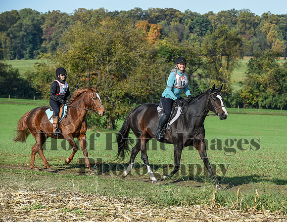 CheshirePC(10-18-20)0029