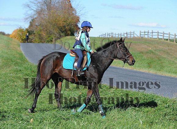 Cheshire(10-19-14)0169